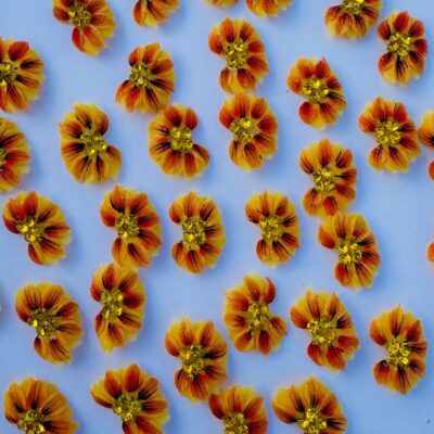 Acrylic Flower ... 2Pcs
