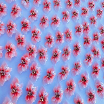 #4....Acrylic Flower ... 2PCS