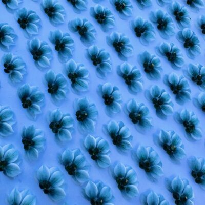 Acrylic Flower ... 2PCS