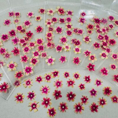 1 Bag With 12 Pcs Of Dried Flowers